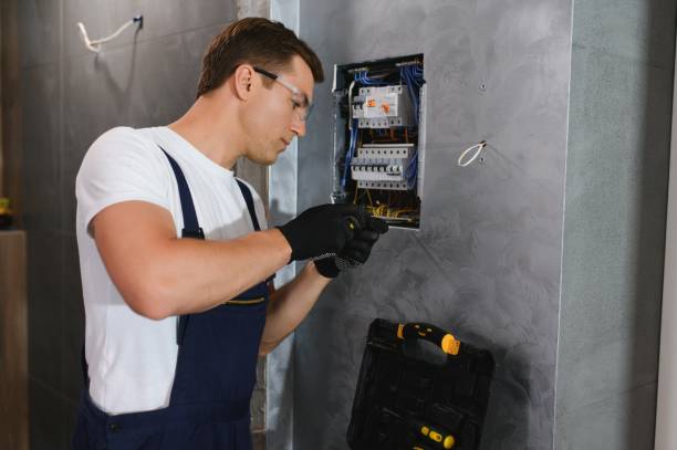 Best Ceiling Fan Installation Electrician  in Wells, MN